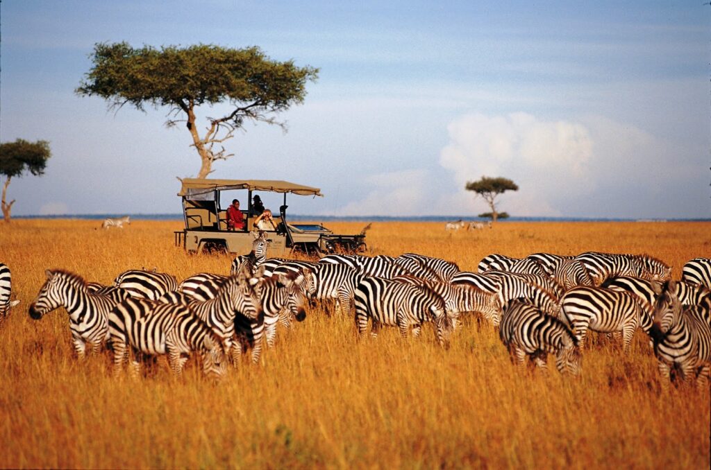 Safari Trip Serengeti