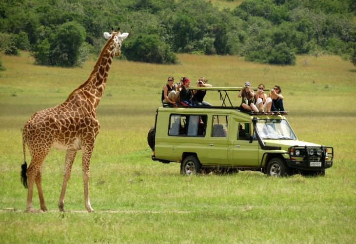 Safari Serengeti